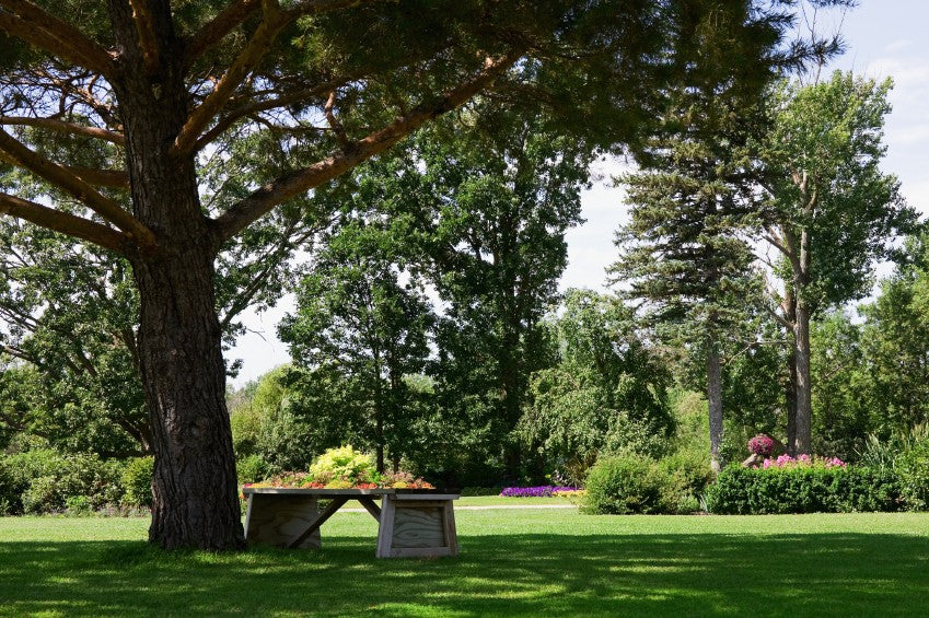 planting grass seed in shady areas Grass Seed Shady Supreme – Masterson's Garden Center, Inc