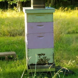 Langstroth Bee Hive Equipment