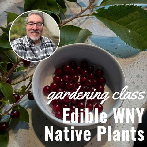 Gardening Class - Edible WNY Native Plants