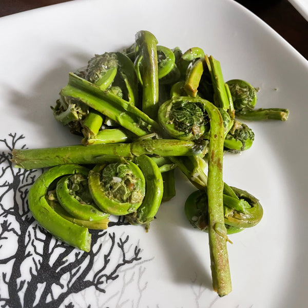 Gardening Class - Edible WNY Native Plants