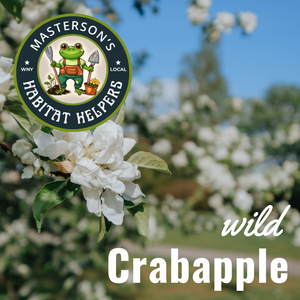 Wild Crabapple