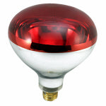 Heat Lamp 250w