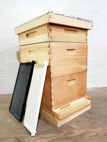 Hive Kit - Complete First Year Setup