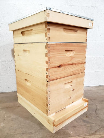 Hive Kit - Complete First Year Setup