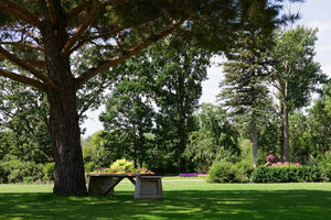 Grass Seed Shady Supreme