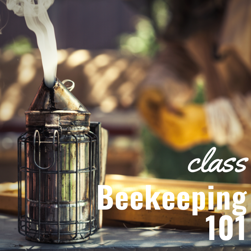 Beekeeping 101 - 2025 Class JAN