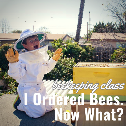 Beekeeping Class - I Ordered Bees. Now What?