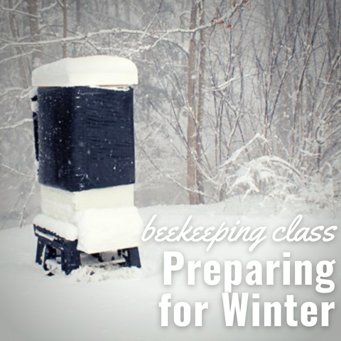 Beekeeping Class - Winterizing Hives