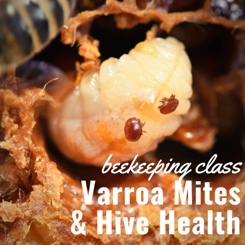 Beekeeping Class - Varroa Mites & Hive Health