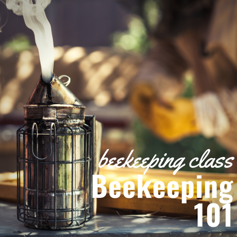 Beekeeping Class - Beekeeping 101