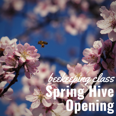 Beekeeping Class - Spring Hive Opening & Autopsy