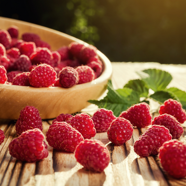 Bare Root Raspberries & Blackberries