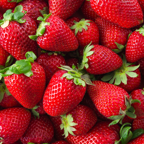 Bare Root Strawberries